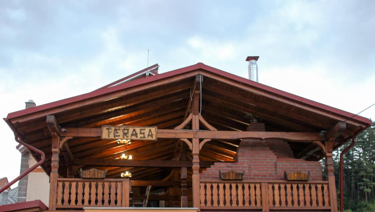 Hotel Corina Borşa Exterior foto
